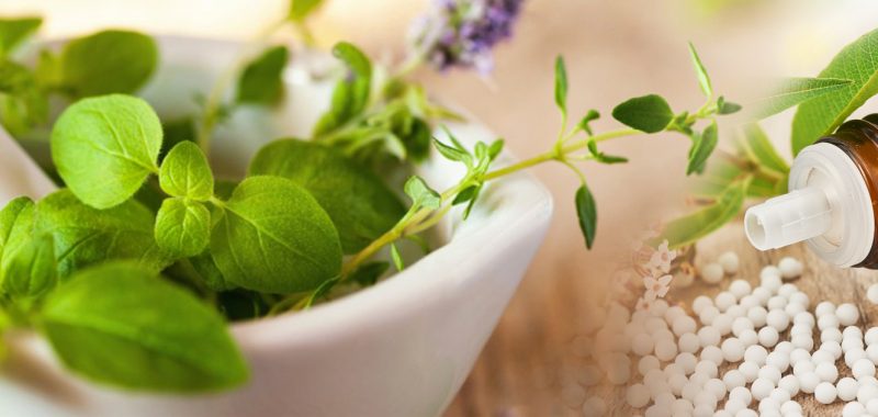 ovodai_iskolai_betegsegek_gyogyitasa_termeszetesen_medical_healing_point_workshop